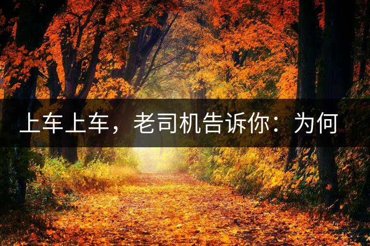 上車(chē)上車(chē)，老司機(jī)告訴你：為何明前茶貴如金