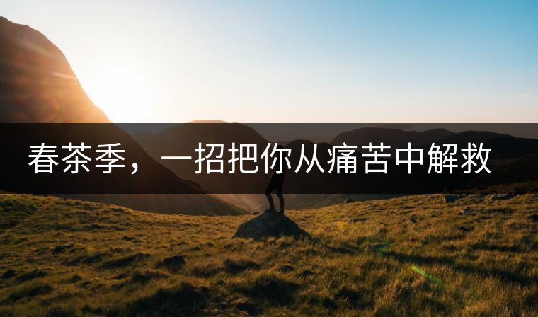 春茶季，一招把你從痛苦中解救出來