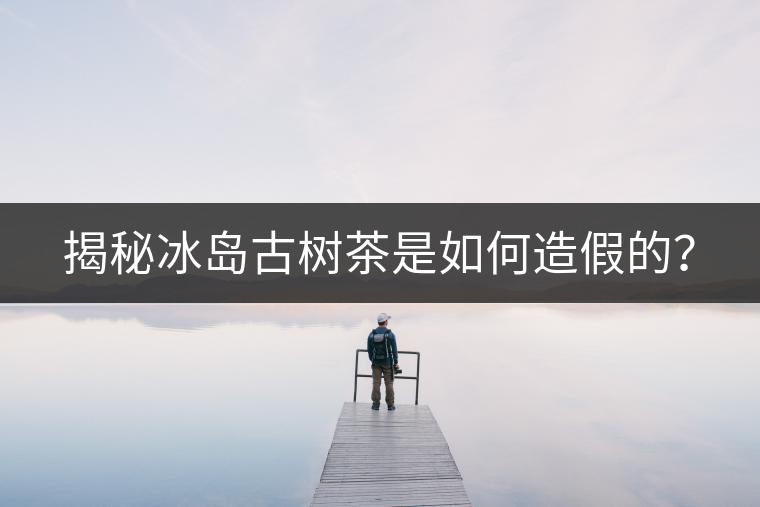 揭秘冰島古樹茶是如何造假的? 揭秘冰島古樹茶是如何造假的?