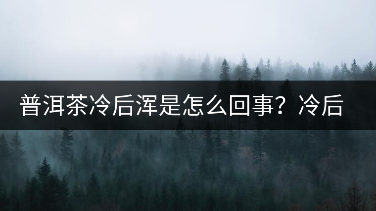 普洱茶冷后渾是怎么回事？冷后渾的普洱茶品質(zhì)好不好？