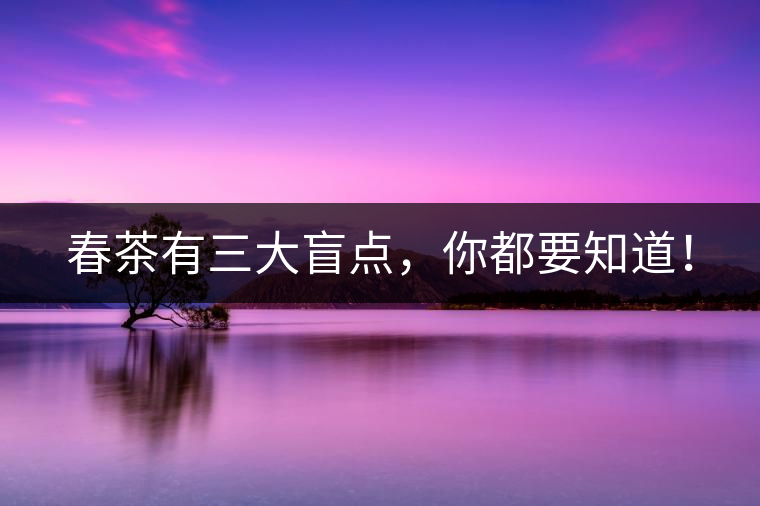 春茶有三大盲點，你都要知道！