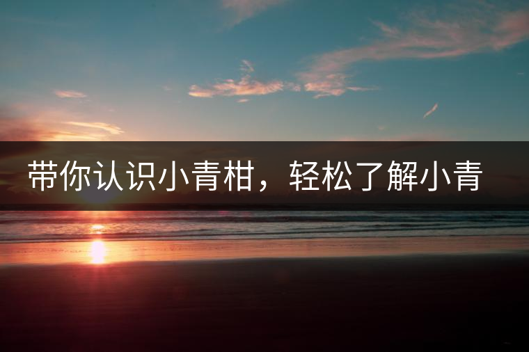 帶你認(rèn)識(shí)小青柑，輕松了解小青柑的前世今生