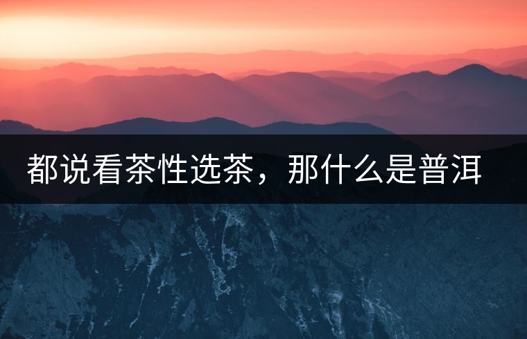 都說看茶性選茶，那什么是普洱茶的“茶性”呢？