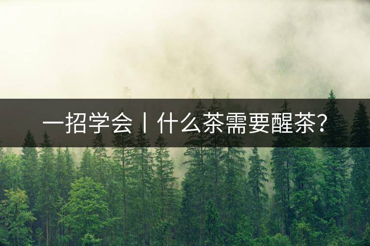 一招學(xué)會丨什么茶需要醒茶？