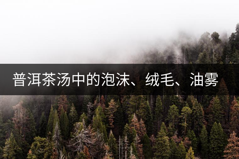 普洱茶湯中的泡沫、絨毛、油霧、絮狀物……原來是這些東西！