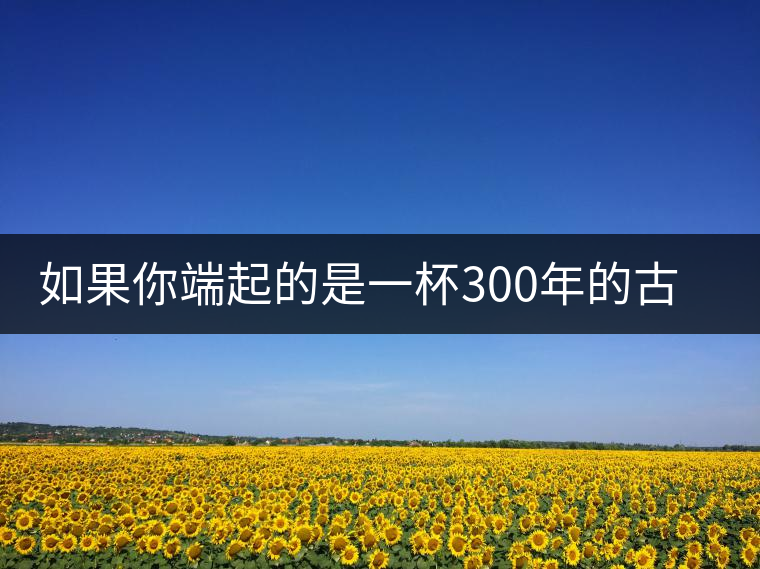 如果你端起的是一杯300年的古樹(shù)茶，那會(huì)是一種怎樣的心境？