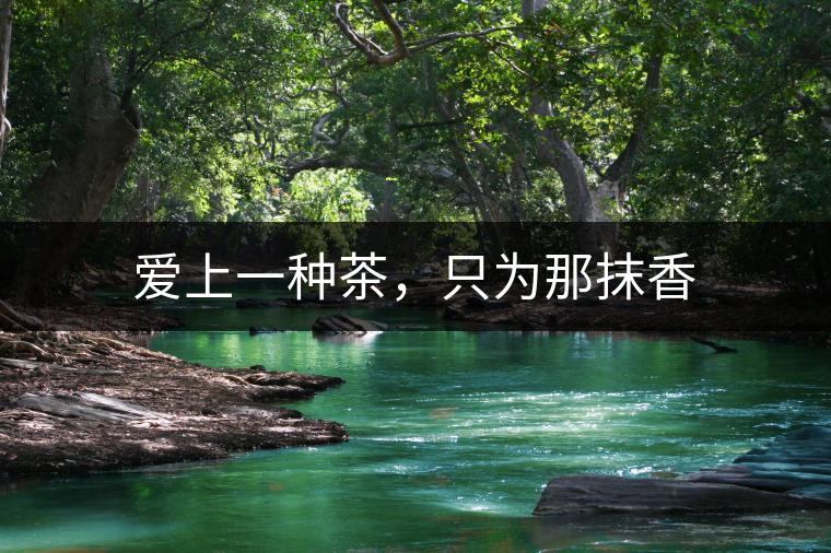 愛上一種茶，只為那抹香