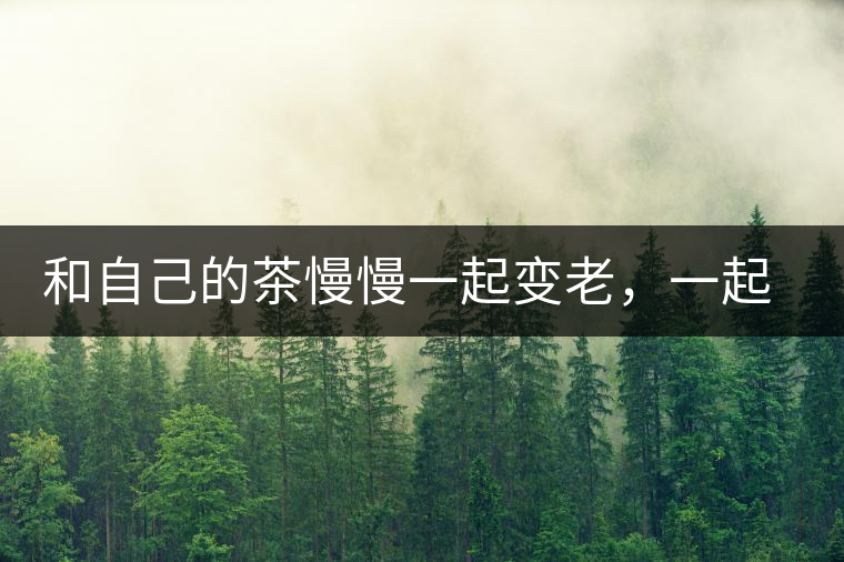 和自己的茶慢慢一起變老，一起變好