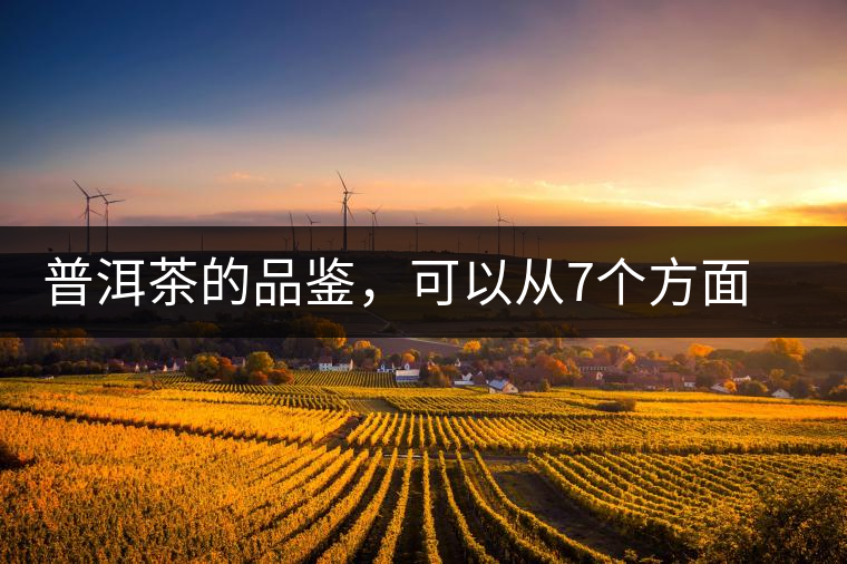 普洱茶的品鑒，可以從7個方面著手