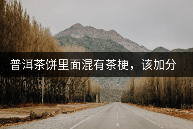 普洱茶餅里面混有茶梗，該加分還是減分？