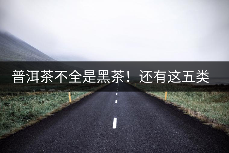 普洱茶不全是黑茶！還有這五類茶，現(xiàn)在知道還不算晚