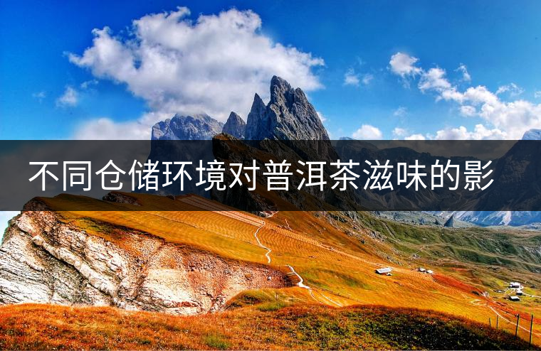 不同倉(cāng)儲(chǔ)環(huán)境對(duì)普洱茶滋味的影響 不同倉(cāng)儲(chǔ)環(huán)境對(duì)普洱茶滋味的影響