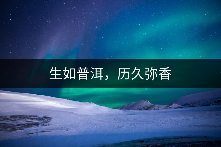 生如普洱，歷久彌香