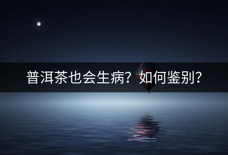 普洱茶也會生??？如何鑒別？