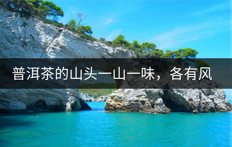 普洱茶的山頭一山一味，各有風(fēng)格