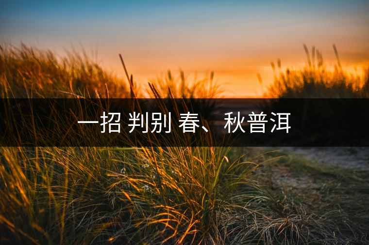 一招 判別 春、秋普洱