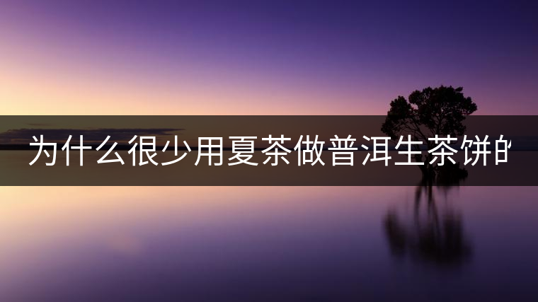 為什么很少用夏茶做普洱生茶餅的？