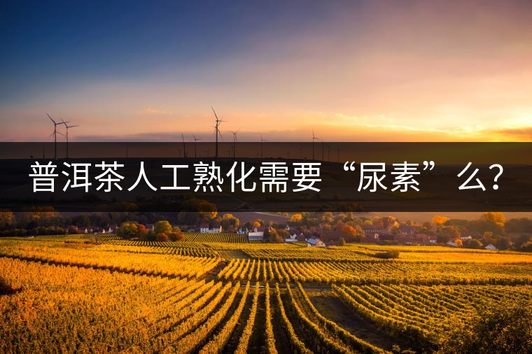 普洱茶人工熟化需要“尿素”么？