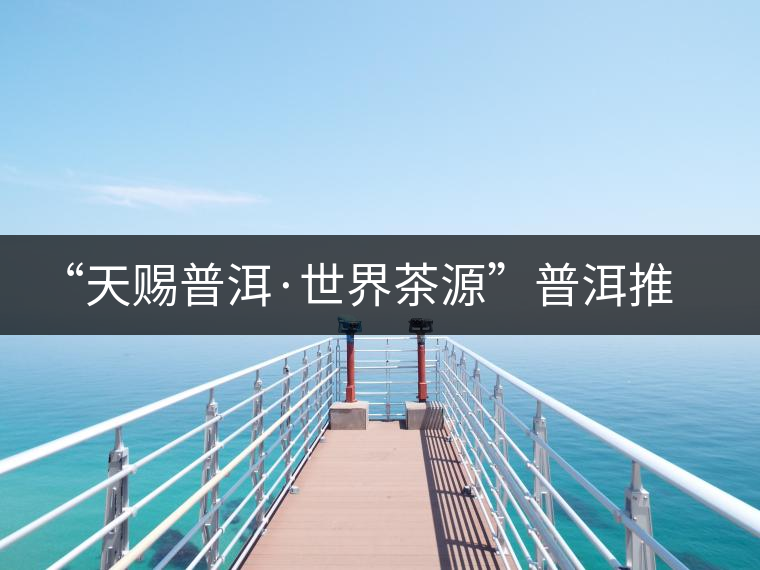 “天賜普洱·世界茶源”普洱推介活動
