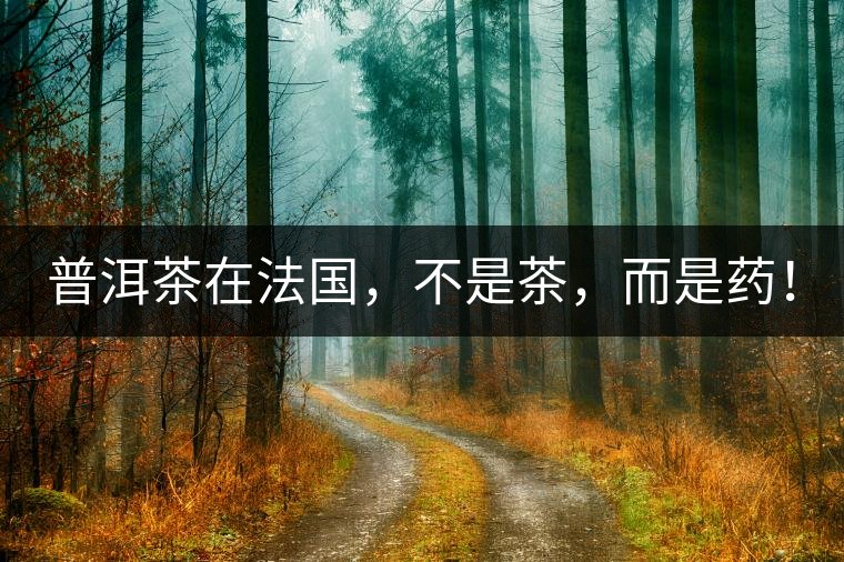 普洱茶在法國，不是茶，而是藥！