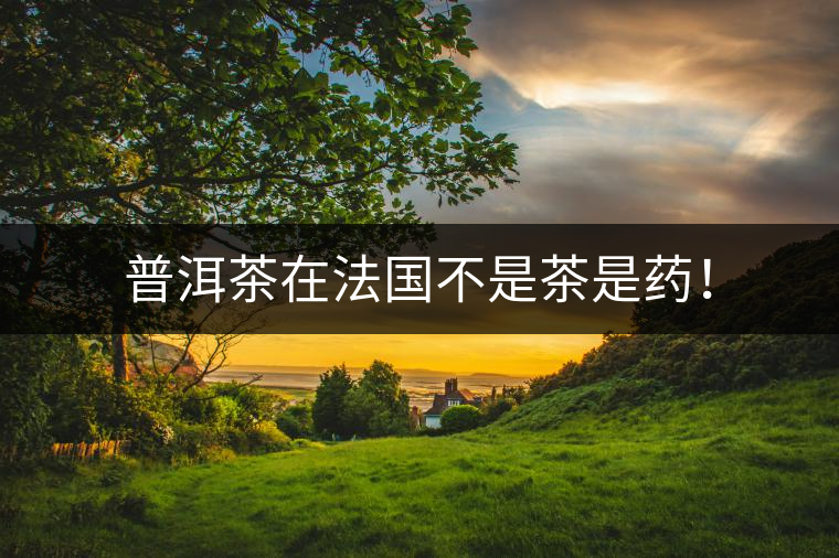 普洱茶在法國(guó)不是茶是藥! 普洱茶在法國(guó)不是茶是藥!