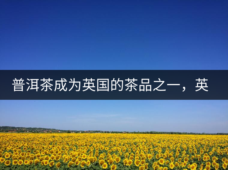 普洱茶成為英國的茶品之一，英國雜志給出7大理由