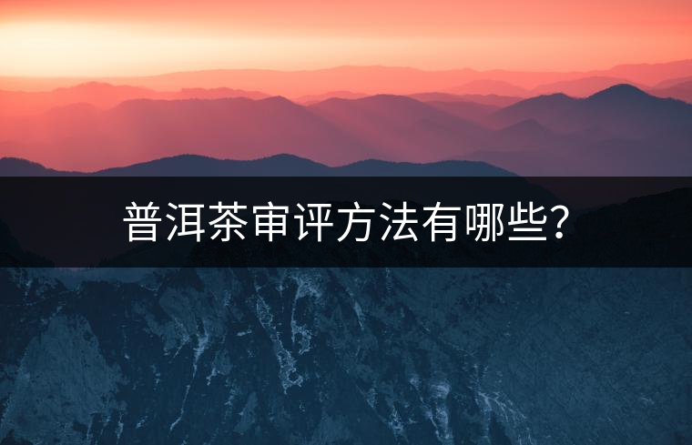普洱茶審評方法有哪些？
