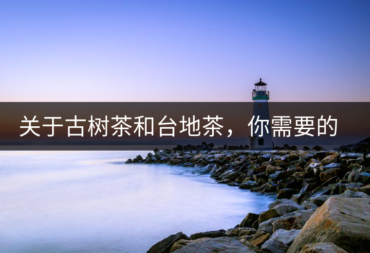 關(guān)于古樹(shù)茶和臺(tái)地茶，你需要的知識(shí)全在這里了