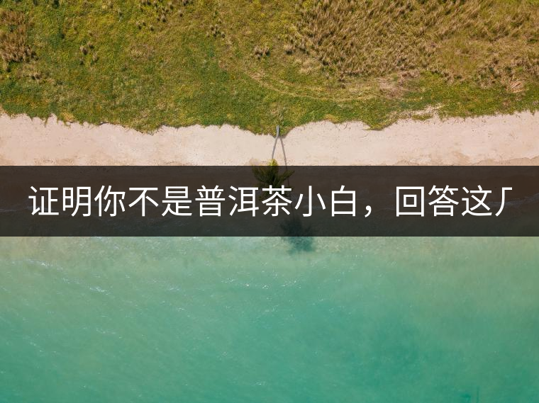 證明你不是普洱茶小白，回答這幾個問題先！