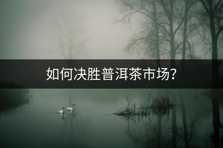 如何決勝普洱茶市場(chǎng)？