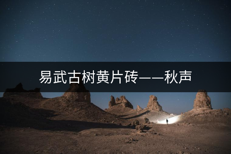 易武古樹黃片磚——秋聲 易武古樹黃片磚——秋聲