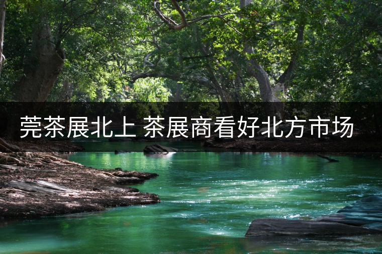 莞茶展北上 茶展商看好北方市場！