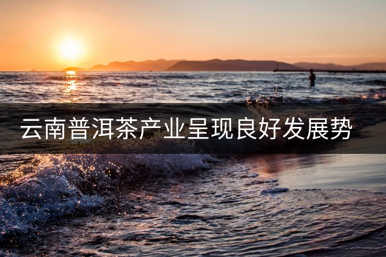 云南普洱茶產(chǎn)業(yè)呈現(xiàn)良好發(fā)展勢(shì)頭