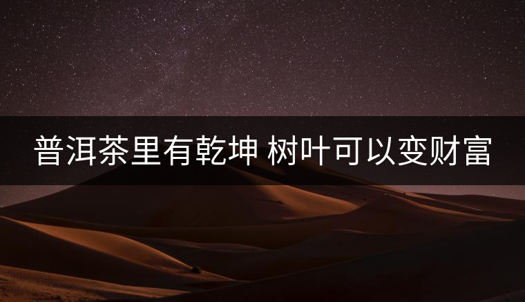 普洱茶里有乾坤 樹(shù)葉可以變財(cái)富