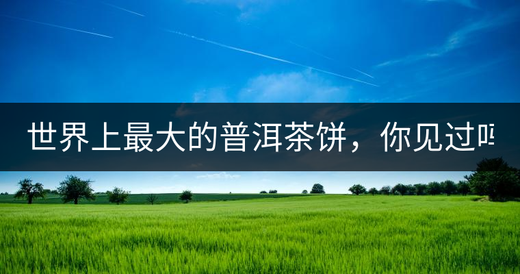 世界上最大的普洱茶餅，你見過嗎？