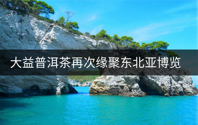 大益普洱茶再次緣聚東北亞博覽會