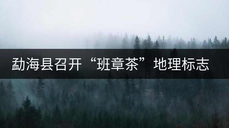 勐?？h召開(kāi)“班章茶”地理標(biāo)志認(rèn)證評(píng)審會(huì)