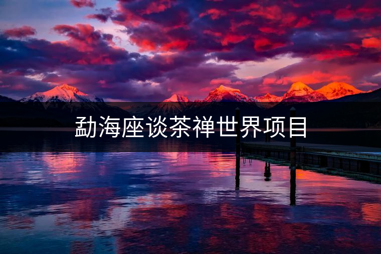 勐海座談茶禪世界項目