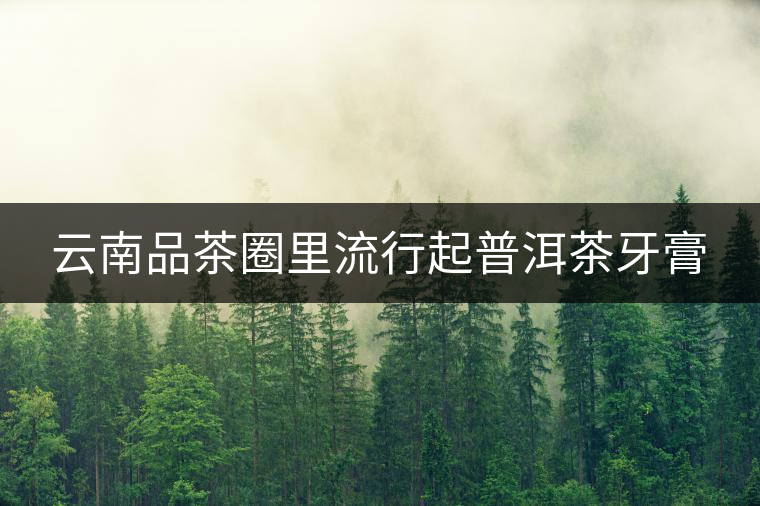 云南品茶圈里流行起普洱茶牙膏 云南品茶圈里流行起普洱茶牙膏