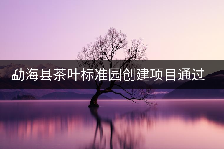 勐?？h茶葉標(biāo)準(zhǔn)園創(chuàng)建項(xiàng)目通過(guò)省級(jí)驗(yàn)收