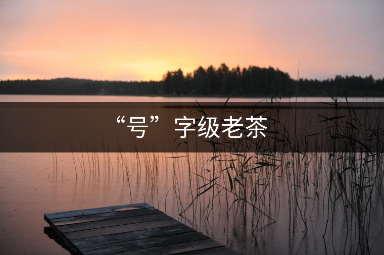 “號(hào)”字級(jí)老茶 “號(hào)”字級(jí)老茶