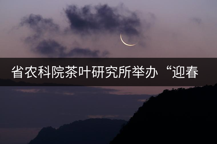 省農科院茶葉研究所舉辦“迎春節(jié)、慶元旦”籃球聯誼賽