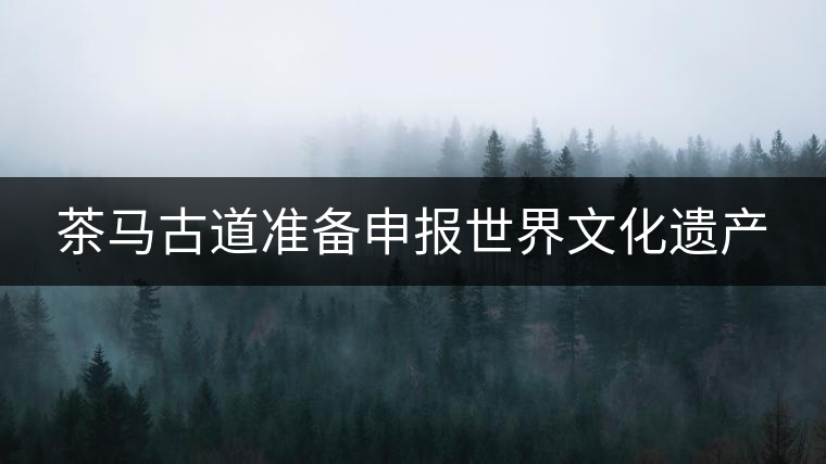 茶馬古道準備申報世界文化遺產(chǎn)