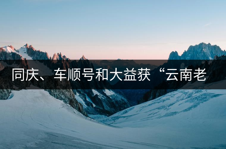 同慶、車順號(hào)和大益獲“云南老字號(hào)”稱號(hào)