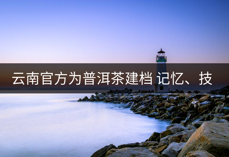 云南官方為普洱茶建檔 記憶、技藝雙傳承