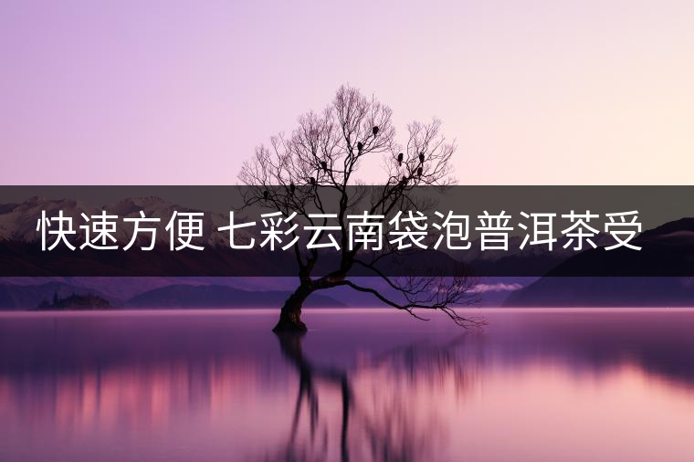 快速方便 七彩云南袋泡普洱茶受京城白領(lǐng)認可