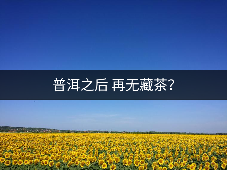 普洱之后 再無藏茶？