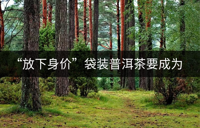 “放下身價(jià)”袋裝普洱茶要成為大眾飲品