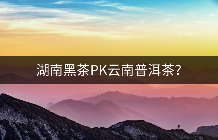 湖南黑茶PK云南普洱茶？