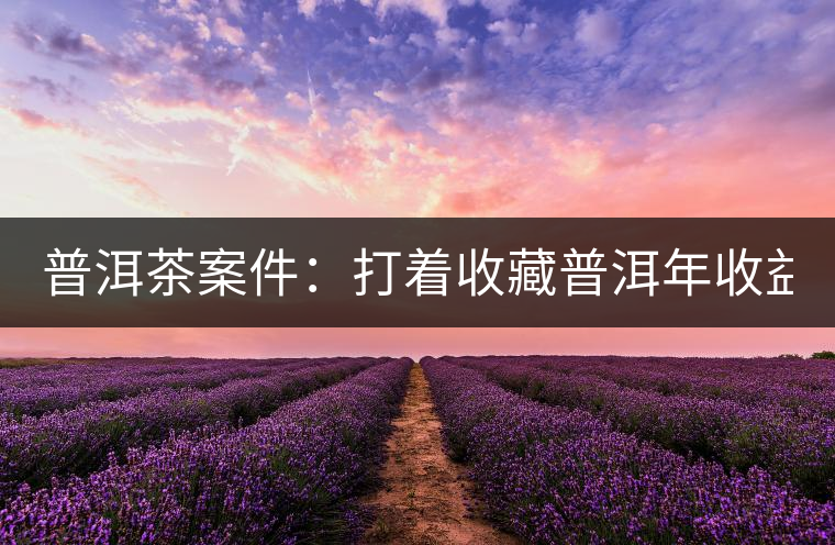 普洱茶案件：打著收藏普洱年收益不低于16%，非法吸收公眾存款